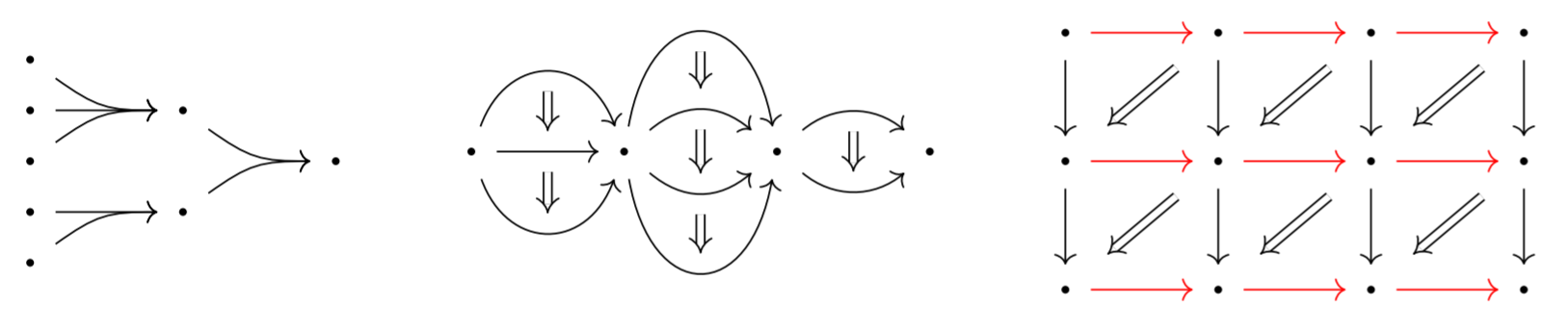 Compositions of different cell shapes