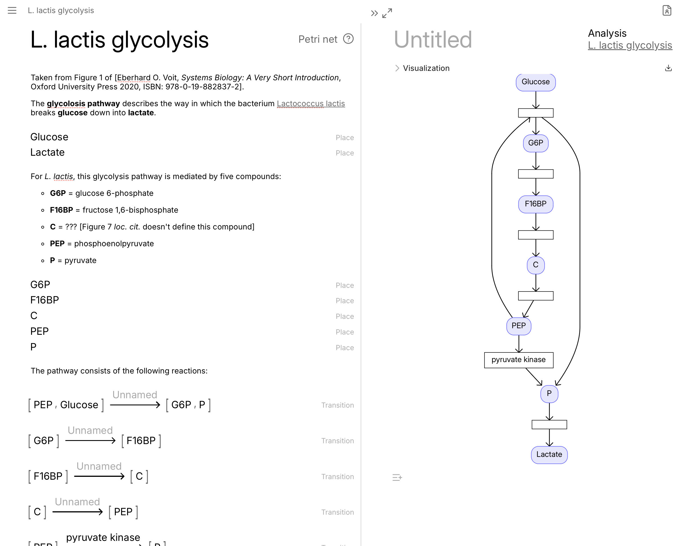 A Petri net modelling the (partial) glycolysis pathway of Lactococcus lactis, taken from E.O. Voit’s Systems Biology: A Very Short Introduction (Oxford University Press, 2020). Model available directly on CatColab.